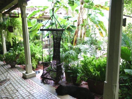 'Yard and Garden' Casas particulares are an alternative to hotels in Cuba.